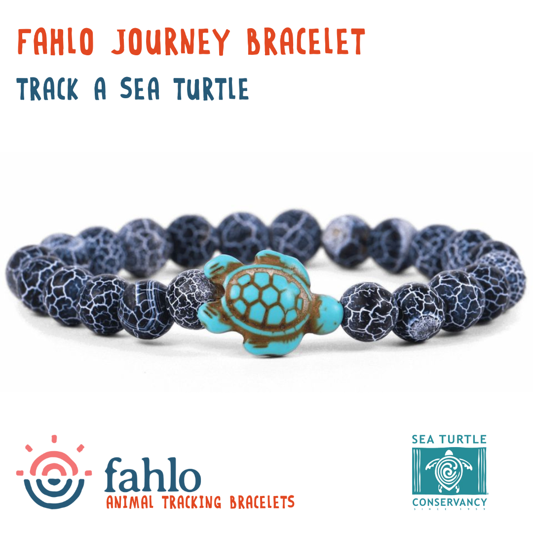 Ocean and store company turtle bracelet