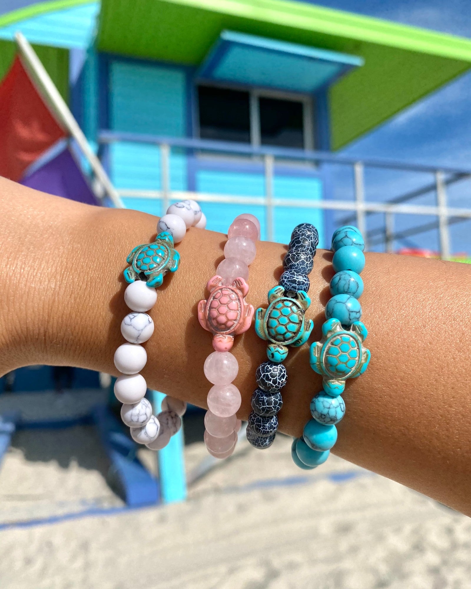 Turtle bracelet that tracks turtle shop