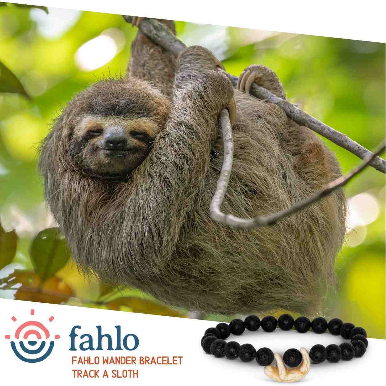 Sloth bracelet hot sale