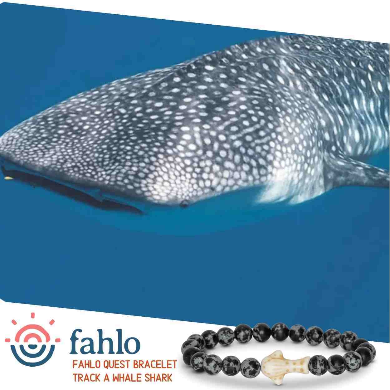 Turtle dove bracelet on sale
